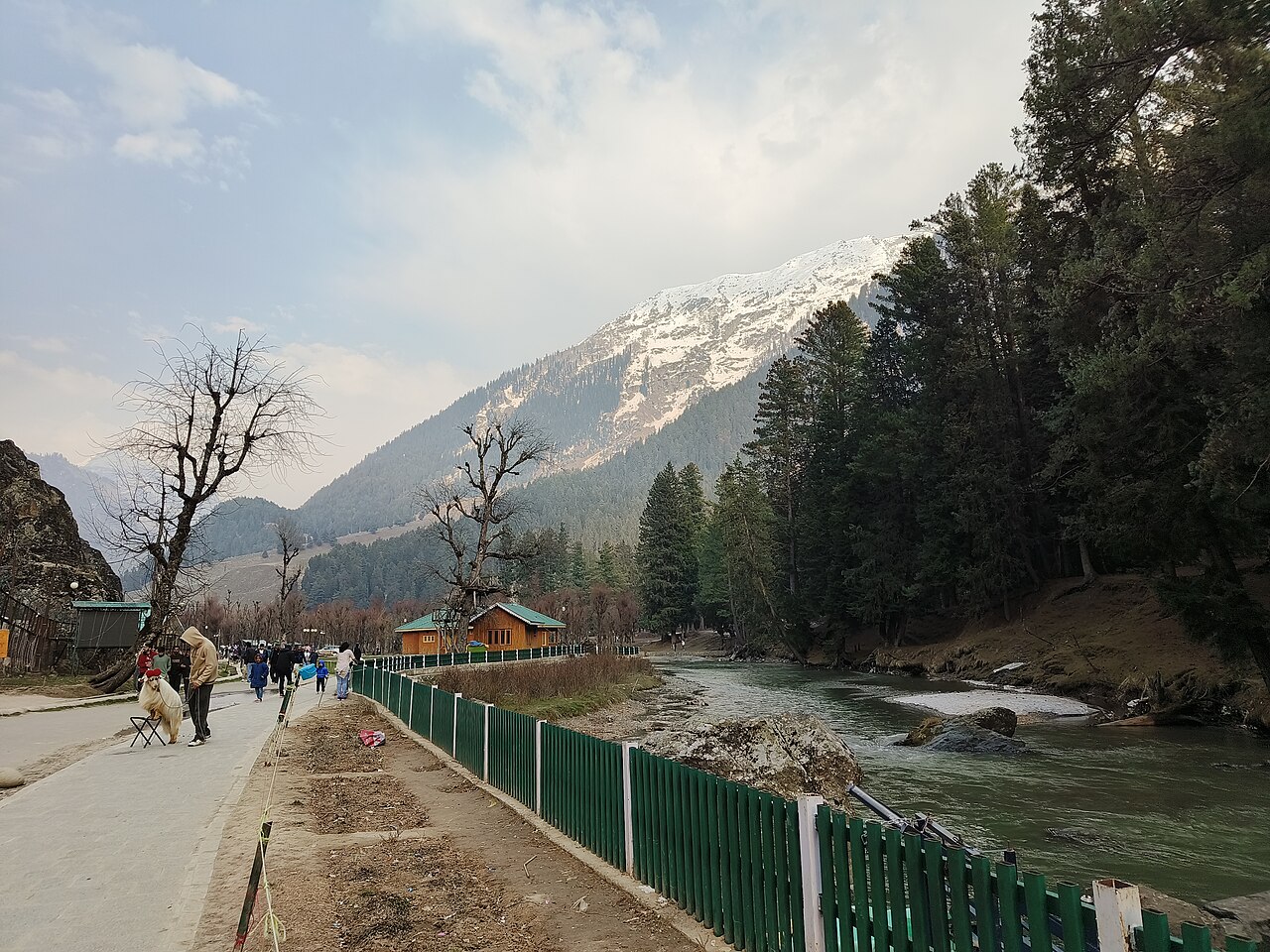 Kashmir Family Package